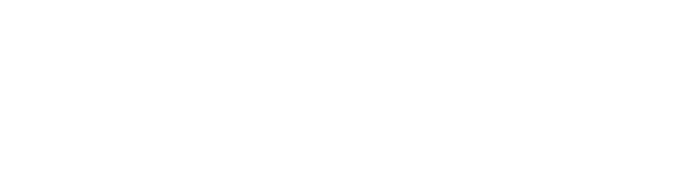 logo sgaravato strategies communication b2b