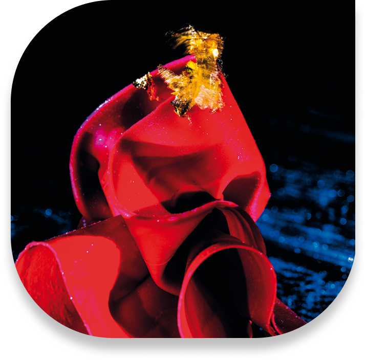 Realizzazione siti web, B2B e UX design