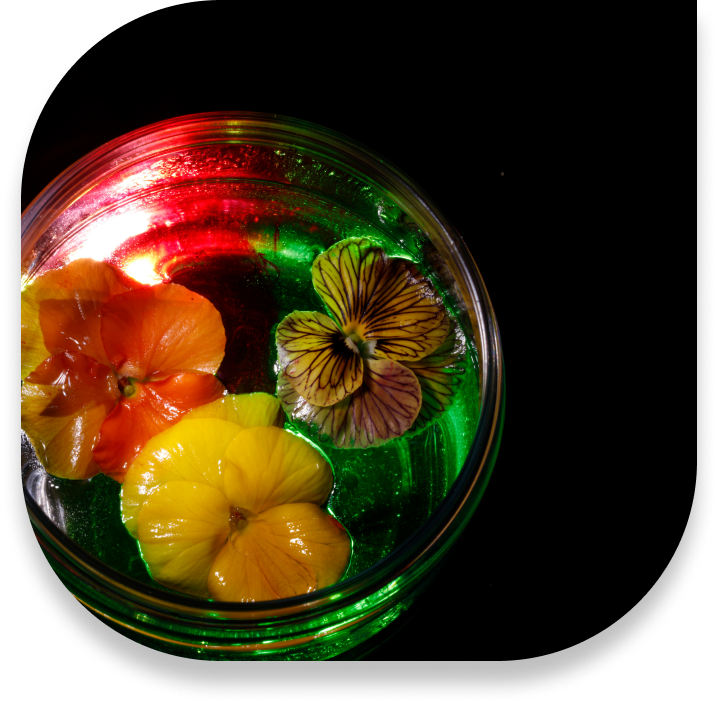 Strategie di marketing e brand identity B2B